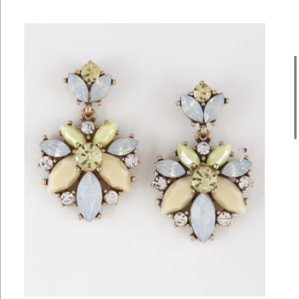 Women’s elegant earrings